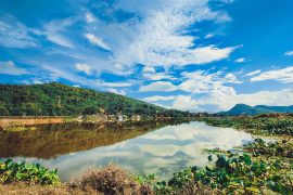assam, india, northeast india, incredible india, reasons to visit northeast india, onlyprathamesh