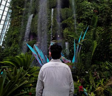 prathamesh avachare, cloud forest, cloud forest at gardens by the bay, gardens by the bay, avatar, avatar: the experience, avatar: the experience at cloud forest, singapore, onlyprathamesh